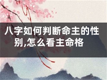 八字如何判断命主的性别,怎么看主命格