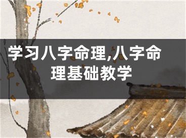 学习八字命理,八字命理基础教学
