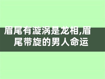 眉尾有漩涡是龙相,眉尾带旋的男人命运
