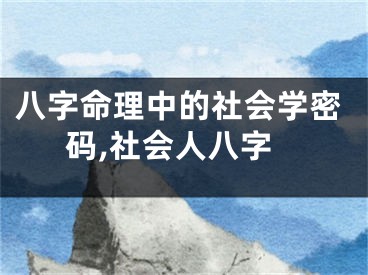 八字命理中的社会学密码,社会人八字
