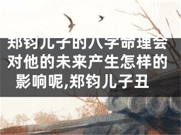 郑钧儿子的八字命理会对他的未来产生怎样的影响呢,郑钧儿子丑
