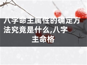 八字命主属性的确定方法究竟是什么,八字 主命格