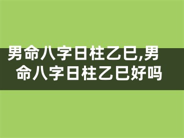 男命八字日柱乙巳,男命八字日柱乙巳好吗