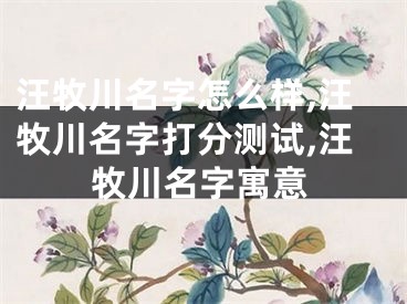 汪牧川名字怎么样,汪牧川名字打分测试,汪牧川名字寓意