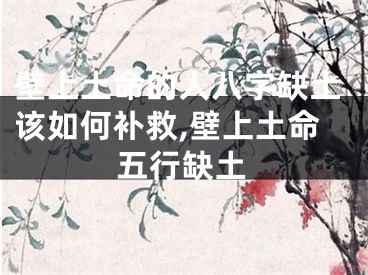 壁上土命的人八字缺土该如何补救,壁上土命五行缺土