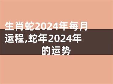 生肖蛇2024年每月运程,蛇年2024年的运势