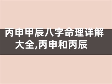 丙申甲辰八字命理详解大全,丙申和丙辰