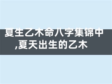 夏生乙木命八字集锦中,夏天出生的乙木