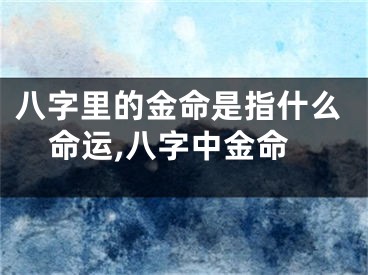八字里的金命是指什么命运,八字中金命