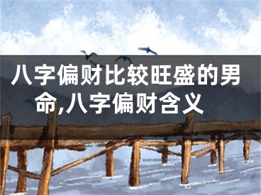 八字偏财比较旺盛的男命,八字偏财含义