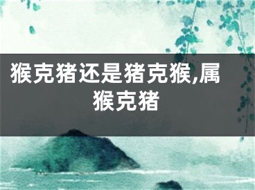 猴克猪还是猪克猴,属猴克猪