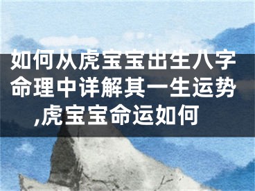 如何从虎宝宝出生八字命理中详解其一生运势,虎宝宝命运如何