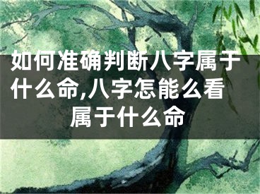 如何准确判断八字属于什么命,八字怎能么看属于什么命