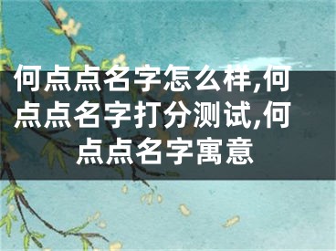 何点点名字怎么样,何点点名字打分测试,何点点名字寓意