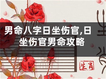 男命八字日坐伤官,日坐伤官男命攻略