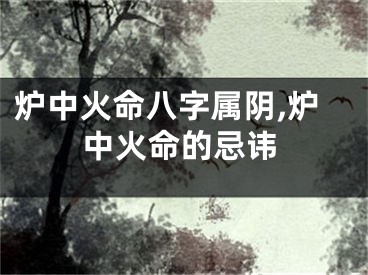 炉中火命八字属阴,炉中火命的忌讳