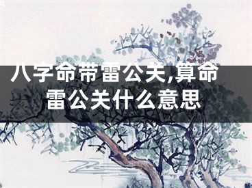 八字命带雷公关,算命雷公关什么意思