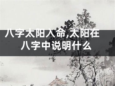 八字太阳入命,太阳在八字中说明什么