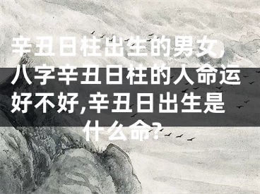 辛丑日柱出生的男女,八字辛丑日柱的人命运好不好,辛丑日出生是什么命?