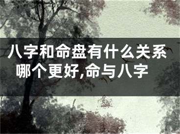 八字和命盘有什么关系哪个更好,命与八字
