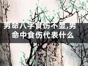 男命八字食伤不显,男命中食伤代表什么