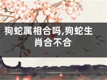 狗蛇属相合吗,狗蛇生肖合不合
