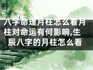 八字命理月柱怎么看月柱对命运有何影响,生辰八字的月柱怎么看