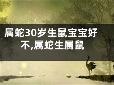 属蛇30岁生鼠宝宝好不,属蛇生属鼠
