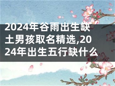 2024年谷雨出生缺土男孩取名精选,2024年出生五行缺什么
