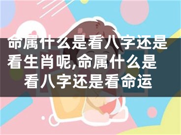 命属什么是看八字还是看生肖呢,命属什么是看八字还是看命运