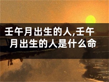 壬午月出生的人,壬午月出生的人是什么命