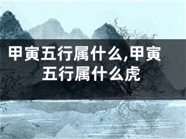 甲寅五行属什么,甲寅五行属什么虎