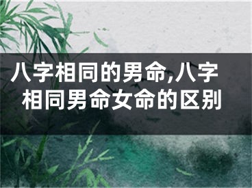 八字相同的男命,八字相同男命女命的区别