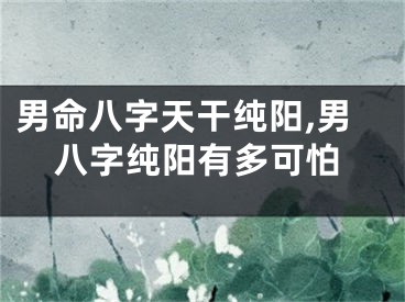 男命八字天干纯阳,男八字纯阳有多可怕