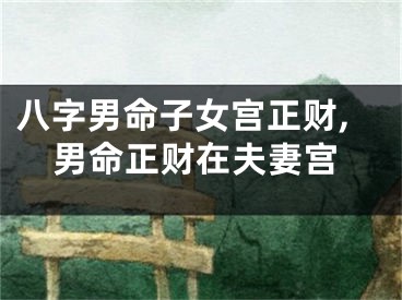 八字男命子女宫正财,男命正财在夫妻宫