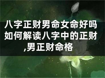 八字正财男命女命好吗如何解读八字中的正财,男正财命格