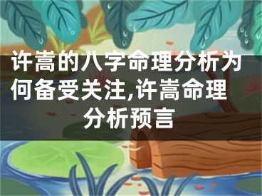 许嵩的八字命理分析为何备受关注,许嵩命理分析预言