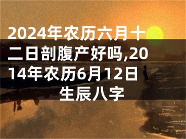 2024年农历六月十二日剖腹产好吗,2014年农历6月12日生辰八字