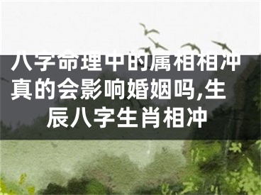 八字命理中的属相相冲真的会影响婚姻吗,生辰八字生肖相冲