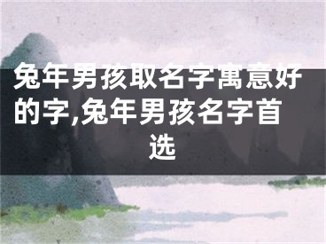 兔年男孩取名字寓意好的字,兔年男孩名字首选