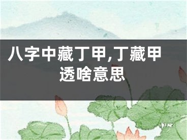 八字中藏丁甲,丁藏甲透啥意思