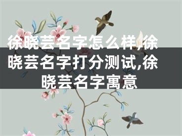 徐晓芸名字怎么样,徐晓芸名字打分测试,徐晓芸名字寓意