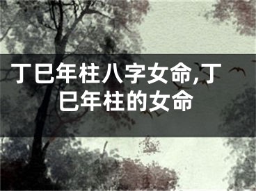 丁巳年柱八字女命,丁巳年柱的女命