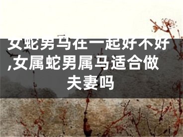 女蛇男马在一起好不好,女属蛇男属马适合做夫妻吗