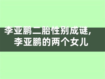 李亚鹏二胎性别成谜,李亚鹏的两个女儿