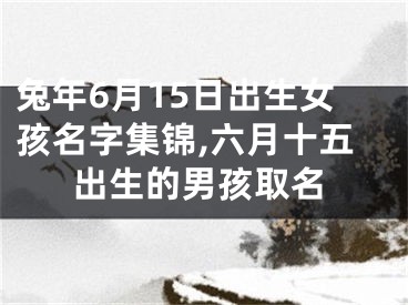 兔年6月15日出生女孩名字集锦,六月十五出生的男孩取名