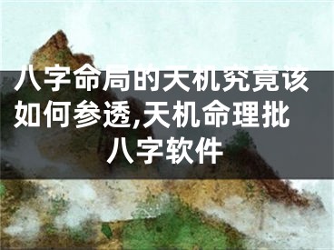 八字命局的天机究竟该如何参透,天机命理批八字软件