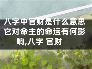 八字中官财是什么意思它对命主的命运有何影响,八字 官财
