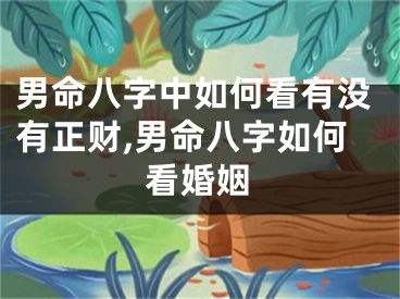 男命八字中如何看有没有正财,男命八字如何看婚姻