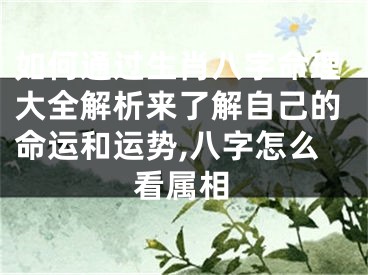 如何通过生肖八字命理大全解析来了解自己的命运和运势,八字怎么看属相